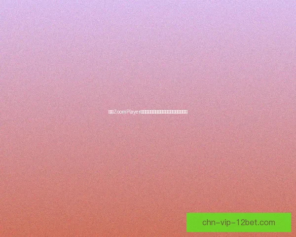 探索ZoomPlayer的多功能播放体验与高级设置技巧全面指南